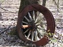Spoke Wheel in Tree 02