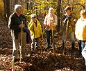 Well hunters at a well site