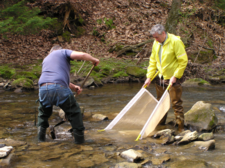 Davd and Dan Collecting Macros