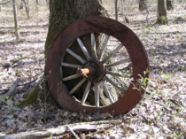 Wheel in tree